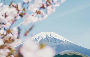 ocal ご当地